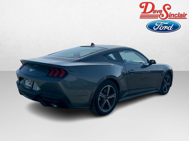 Ford Mustang Vehicle Image 07
