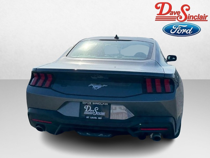 Ford Mustang Vehicle Image 08