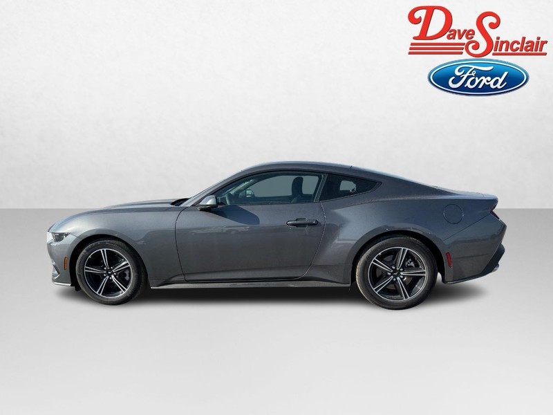 Ford Mustang Vehicle Image 10