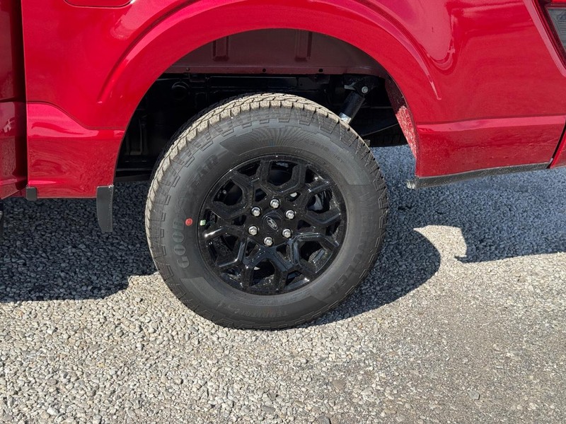 Ford F-150 Vehicle Image 11