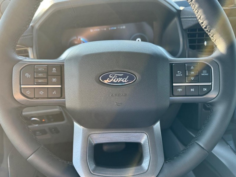 Ford F-150 Lightning Vehicle Image 20