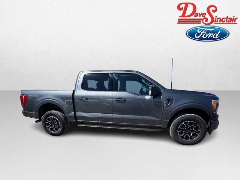Ford F-150 Vehicle Image 05