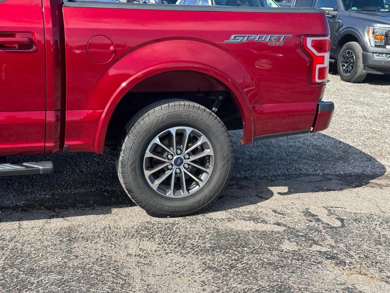 Ford F-150 Vehicle Image 11
