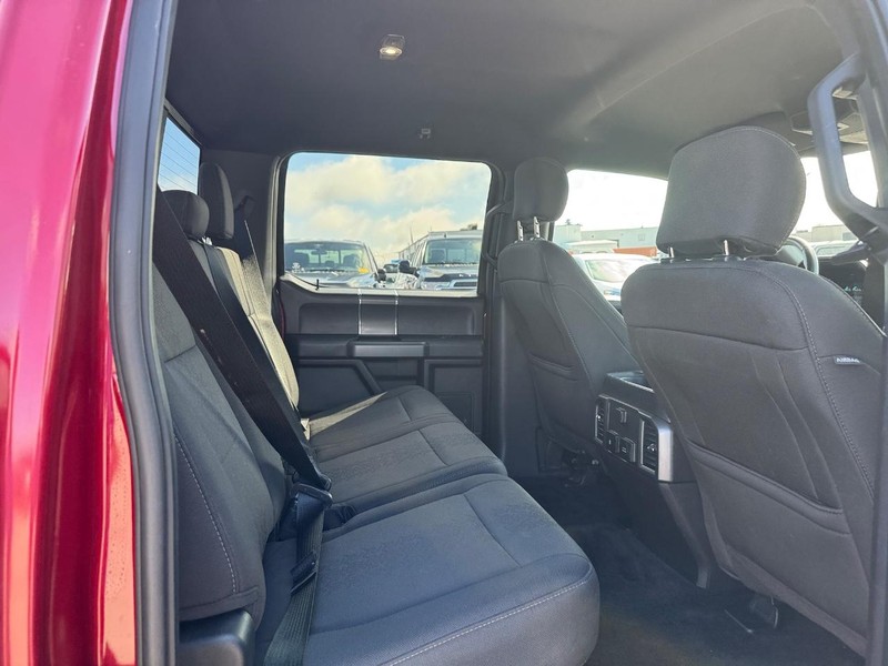Ford F-150 Vehicle Image 13