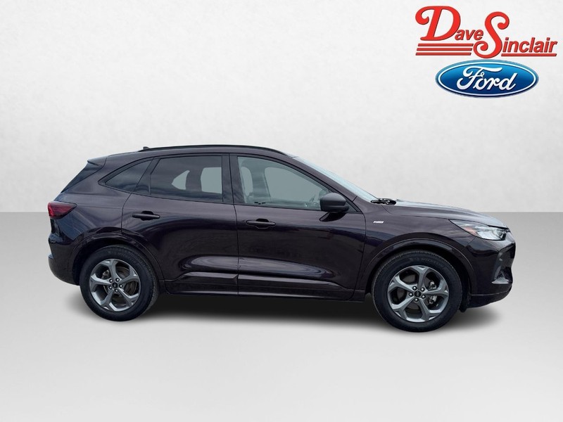 Ford Escape Vehicle Image 05