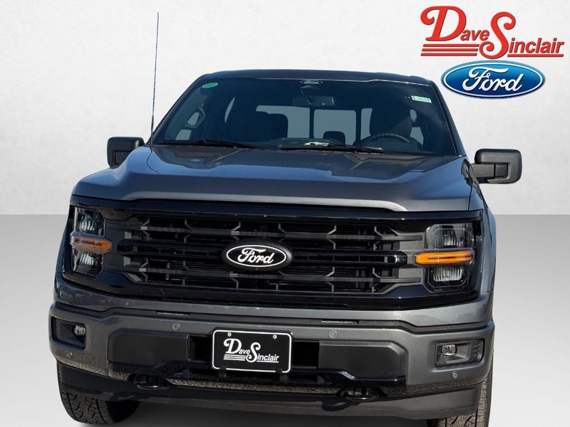 Ford F-150 Vehicle Image 02