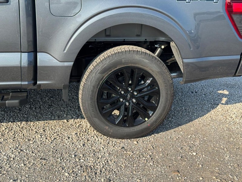 Ford F-150 Vehicle Image 11
