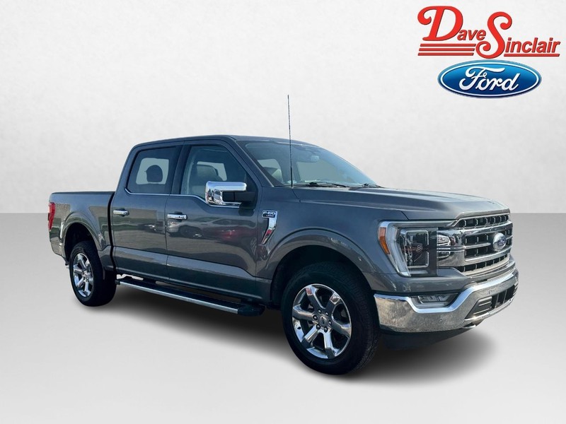 Ford F-150 Vehicle Image 04