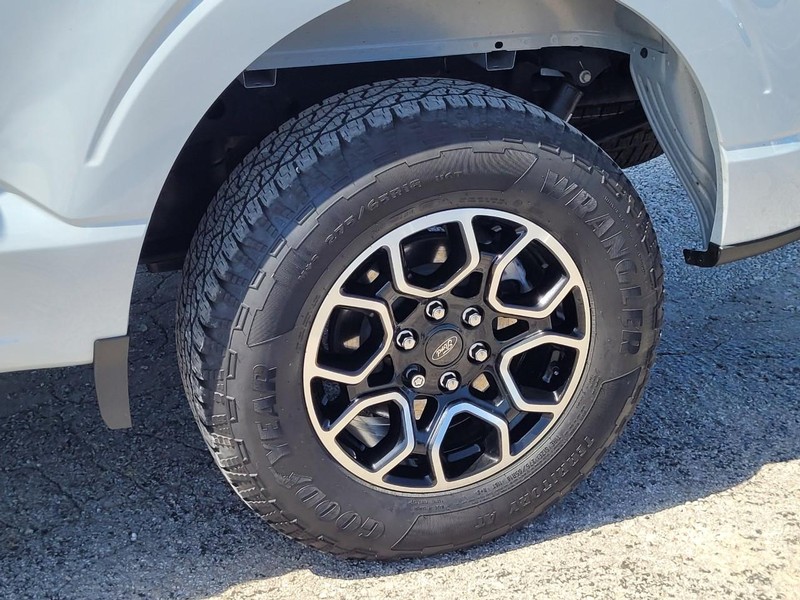 Ford F-150 Vehicle Image 11