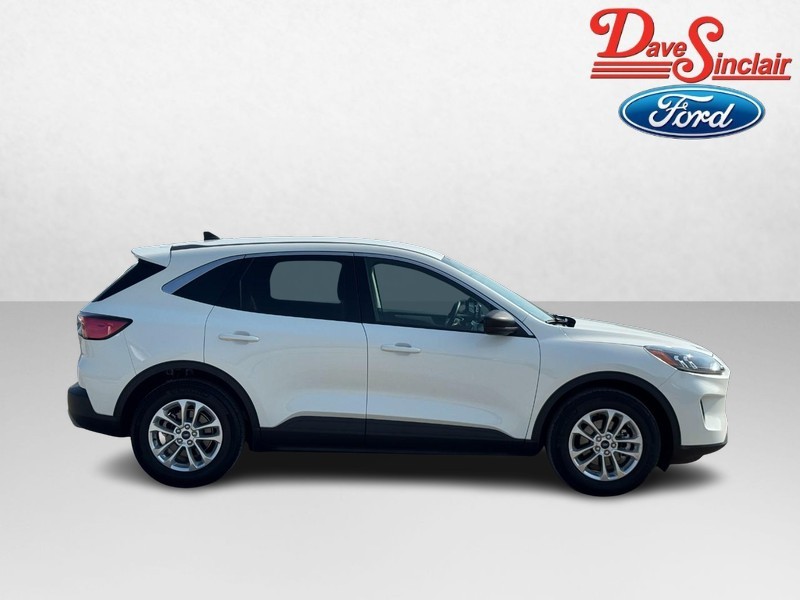 Ford Escape Vehicle Image 05