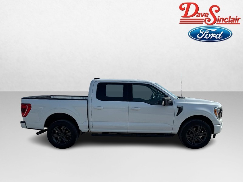 Ford F-150 Vehicle Image 05