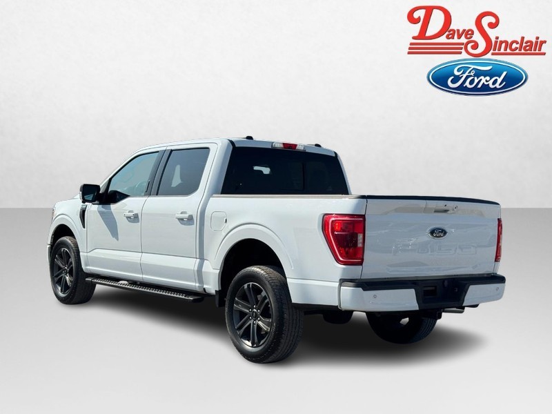 Ford F-150 Vehicle Image 09
