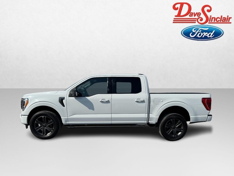 Ford F-150 Vehicle Image 10