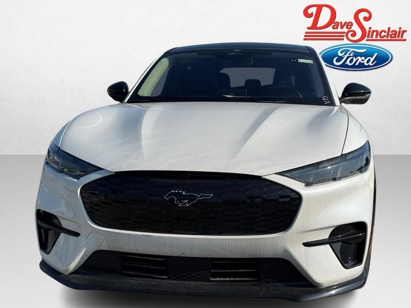 Ford Mustang Mach-E Vehicle Image 02
