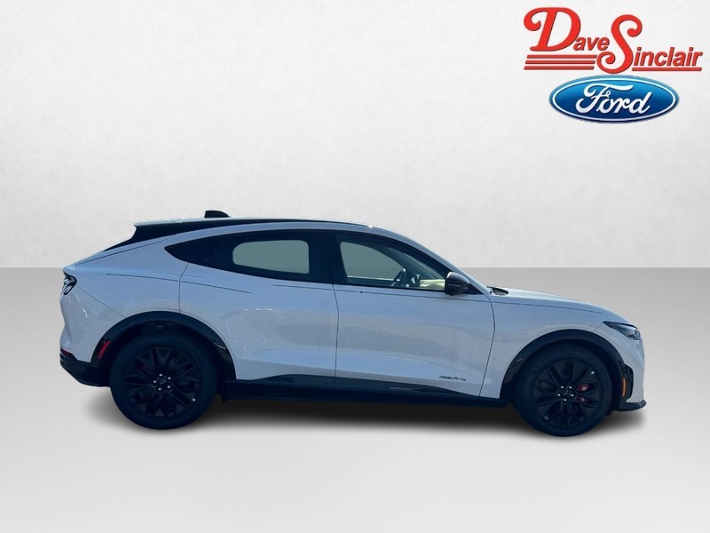 Ford Mustang Mach-E Vehicle Image 05