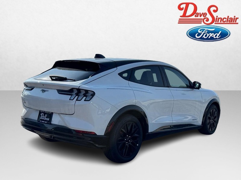 Ford Mustang Mach-E Vehicle Image 07