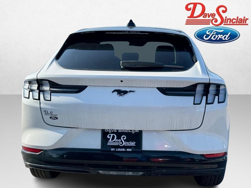 Ford Mustang Mach-E Vehicle Image 08