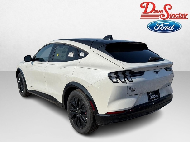 Ford Mustang Mach-E Vehicle Image 09