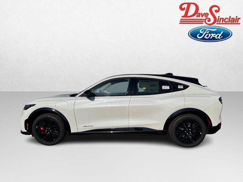Ford Mustang Mach-E Vehicle Image 10