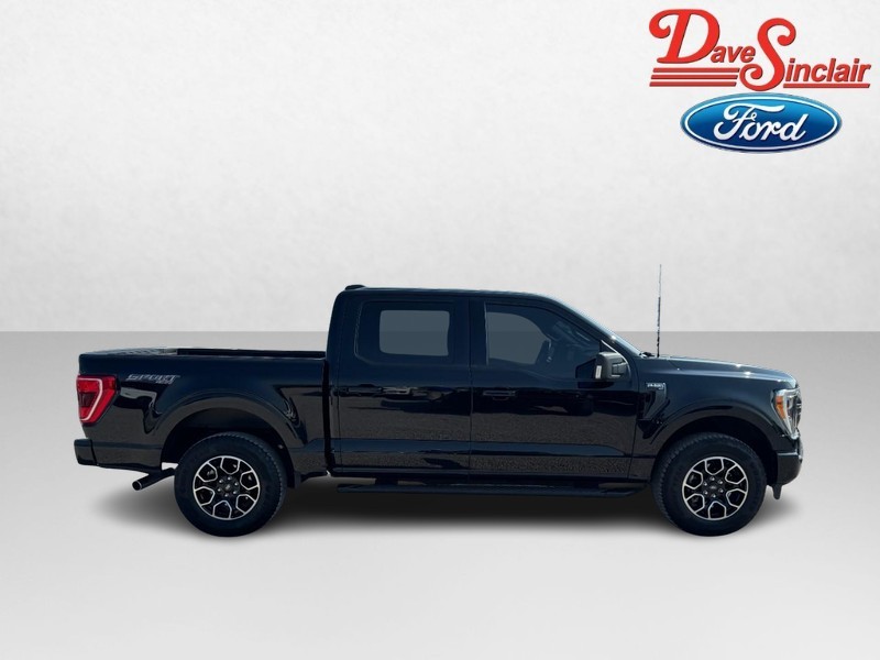 Ford F-150 Vehicle Image 05