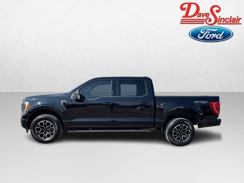 Ford F-150 Vehicle Image 10