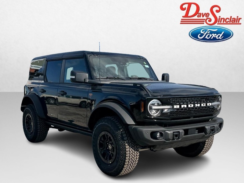 Ford Bronco Vehicle Image 04