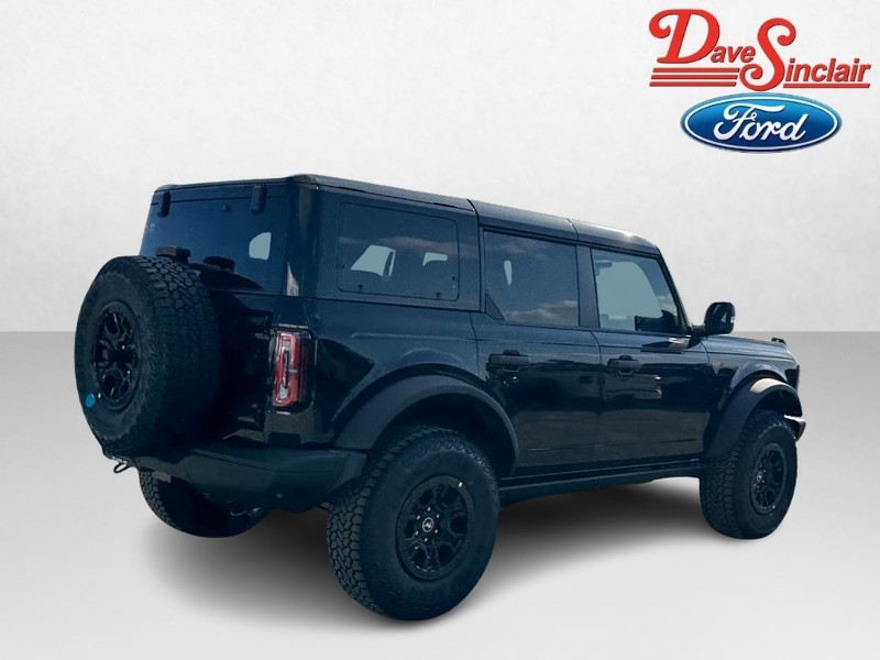 Ford Bronco Vehicle Image 07