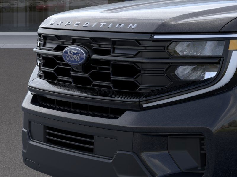 Ford Expedition Vehicle Image 19