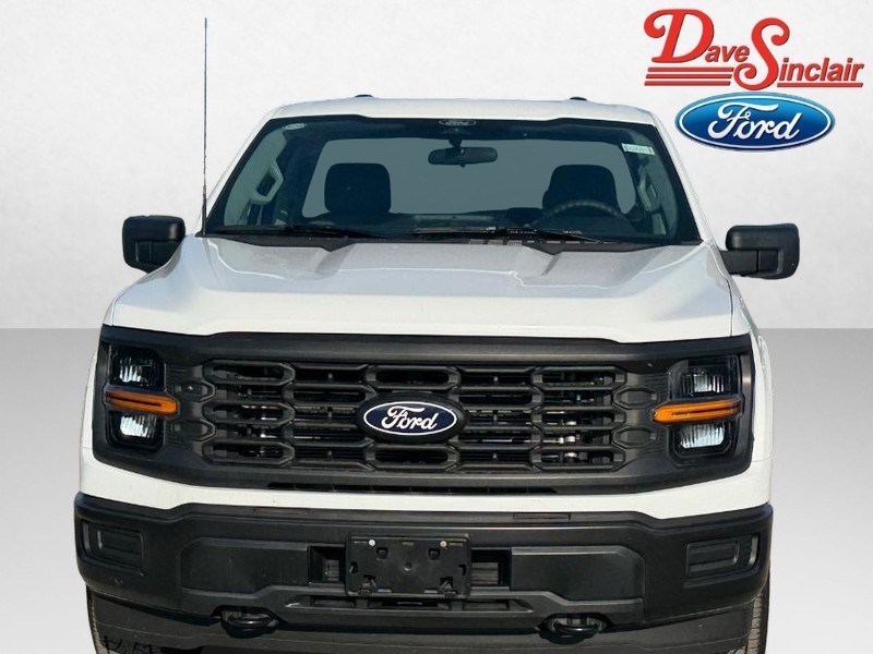 Ford F-150 Vehicle Image 02