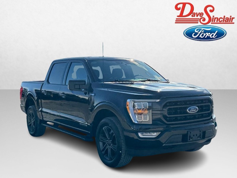 Ford F-150 Vehicle Image 04