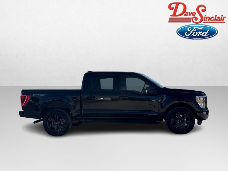 Ford F-150 Vehicle Image 05