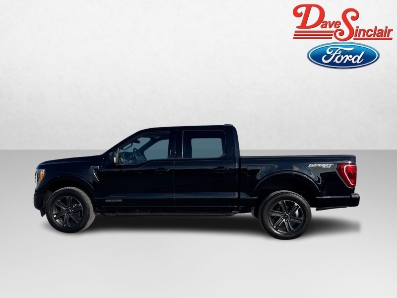 Ford F-150 Vehicle Image 10