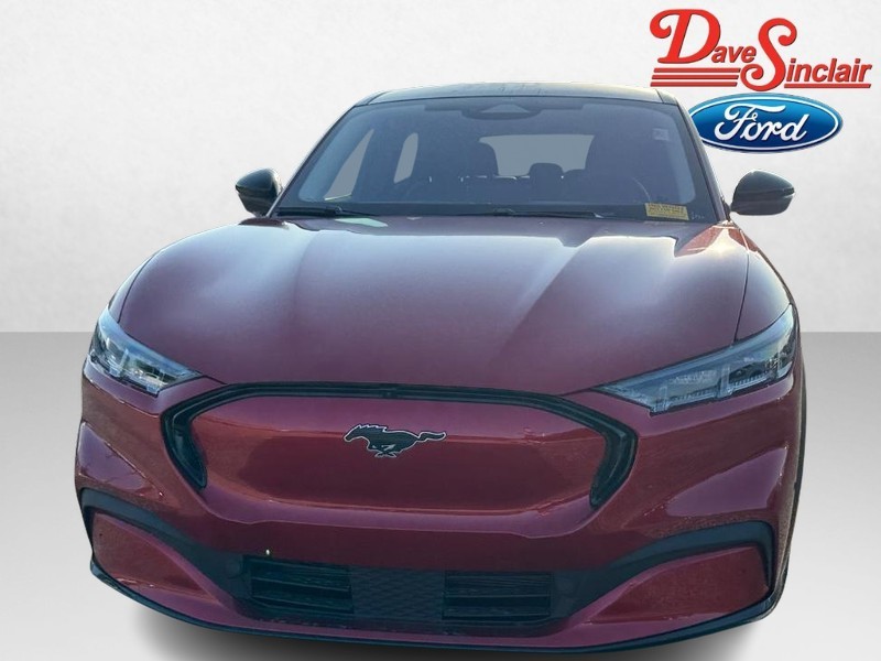 Ford Mustang Mach-E Vehicle Image 02