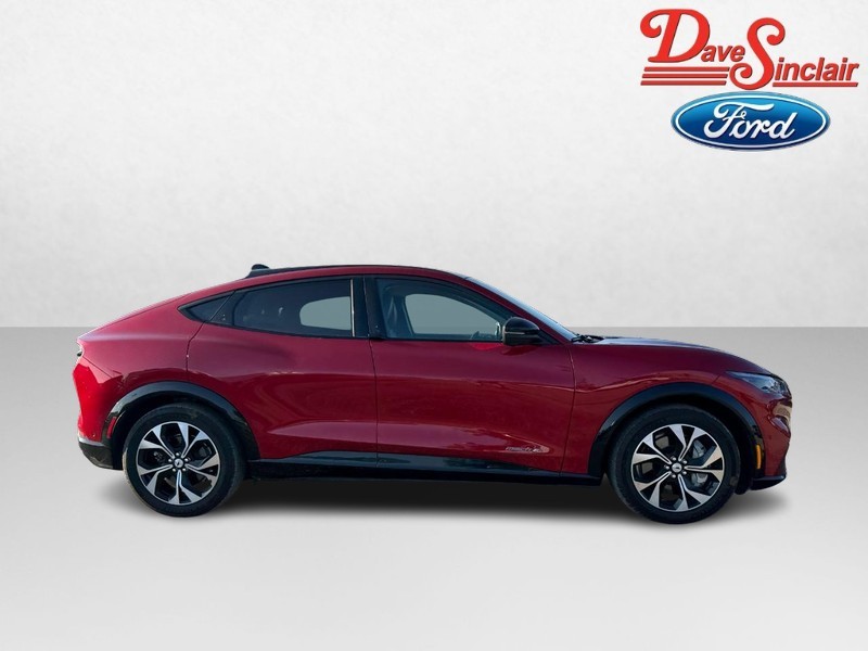 Ford Mustang Mach-E Vehicle Image 05