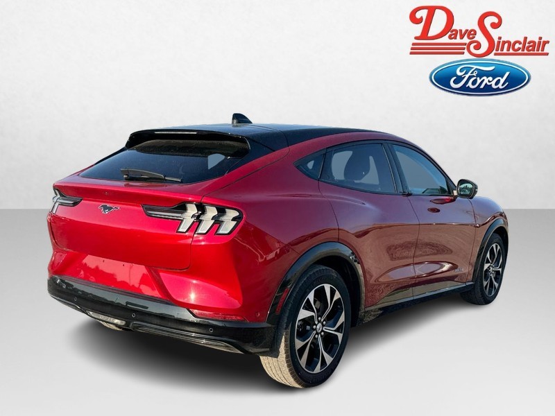 Ford Mustang Mach-E Vehicle Image 07
