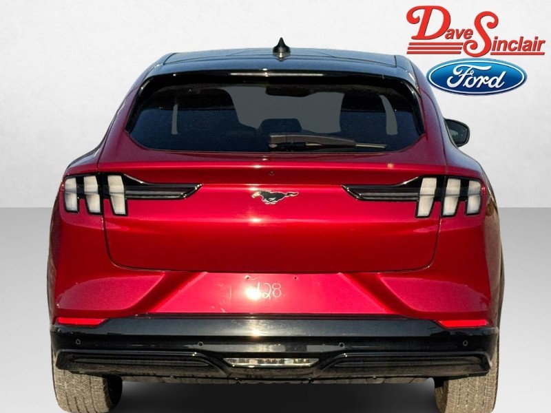 Ford Mustang Mach-E Vehicle Image 08