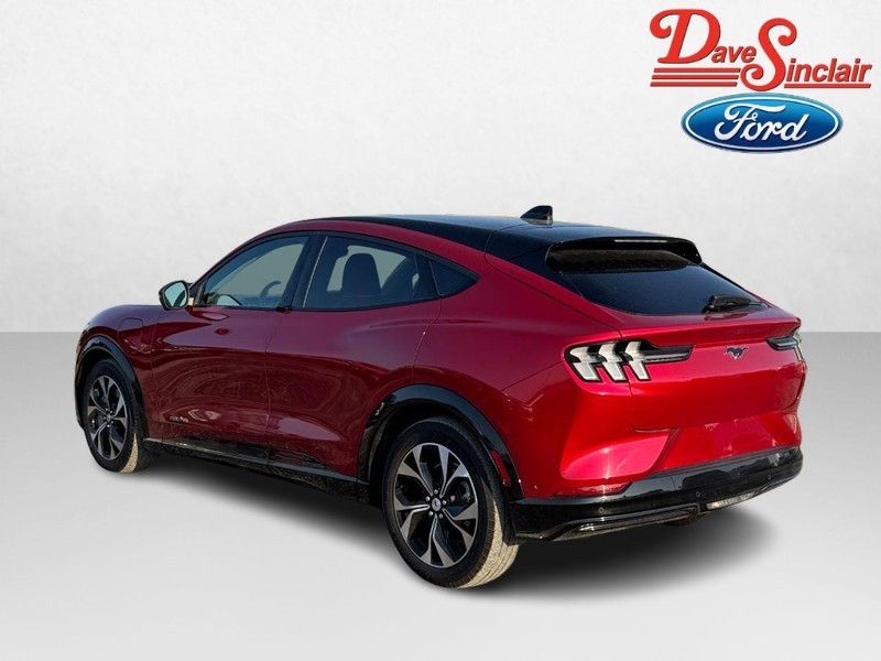 Ford Mustang Mach-E Vehicle Image 09