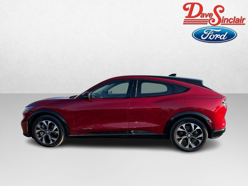 Ford Mustang Mach-E Vehicle Image 10