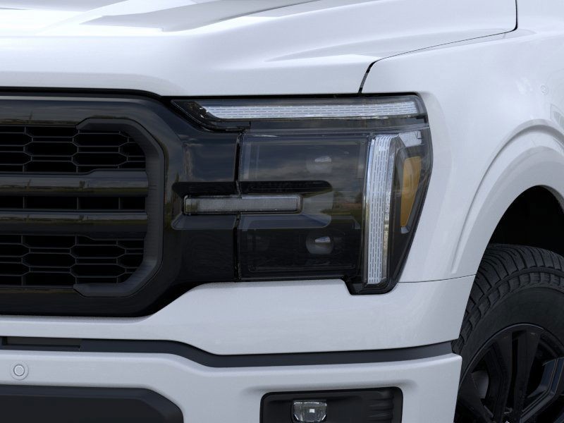 Ford F-150 Vehicle Image 20