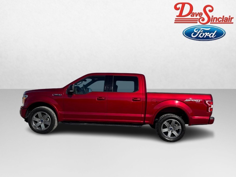 Ford F-150 Vehicle Image 10
