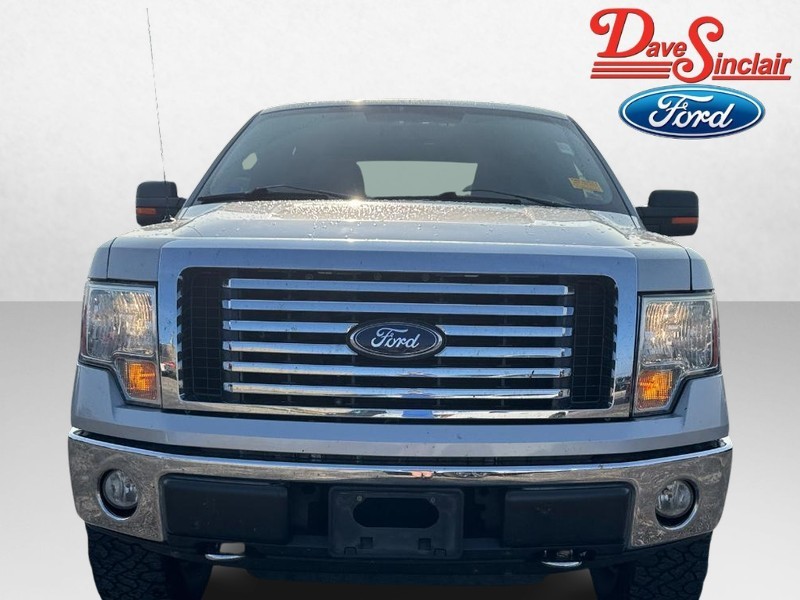 Ford F-150 Vehicle Image 02