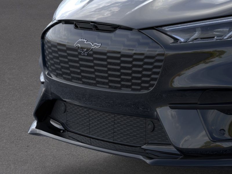 Ford Mustang Mach-E Vehicle Full-screen Gallery Image 19