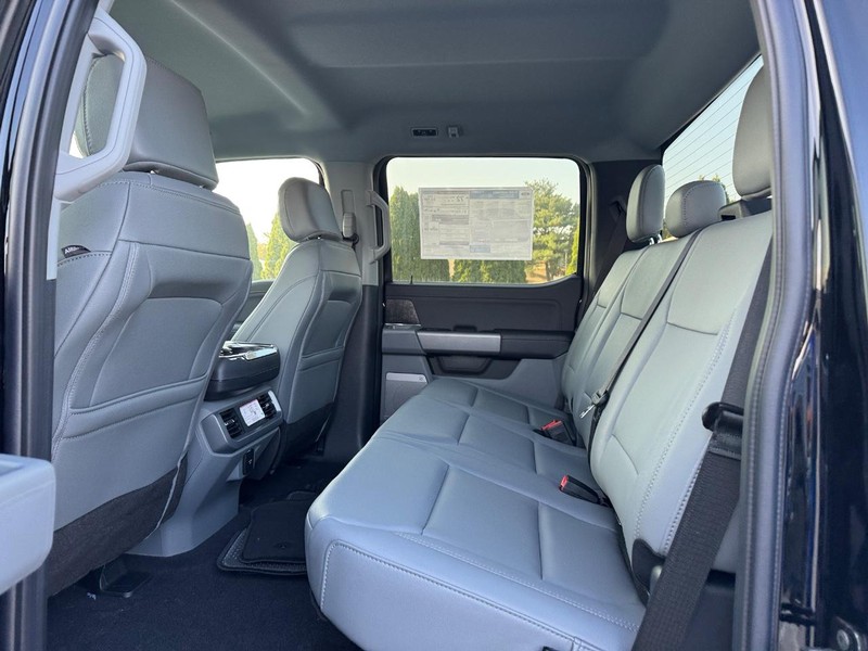 Ford F-150 Lightning Vehicle Image 12