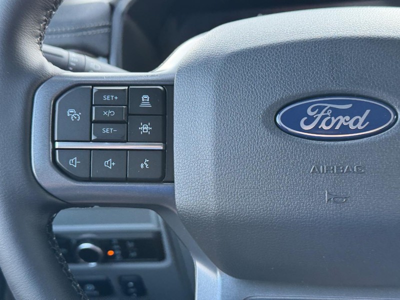 Ford F-150 Lightning Vehicle Image 20