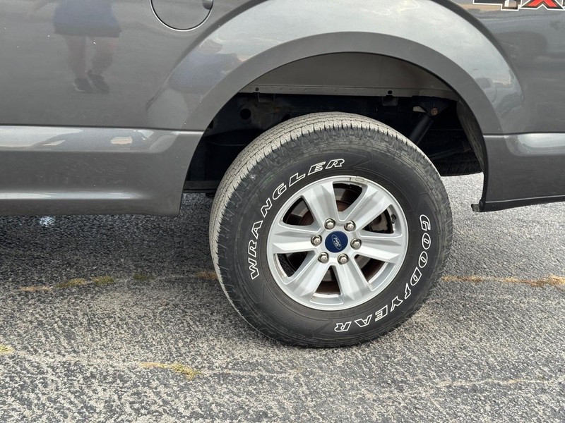 Ford F-150 Vehicle Image 11