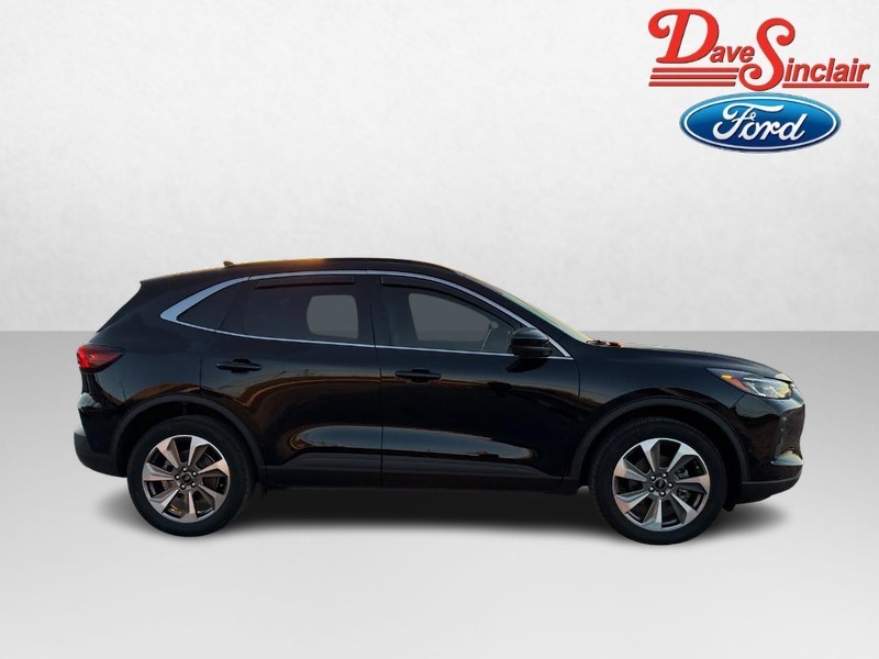 Ford Escape Vehicle Image 05