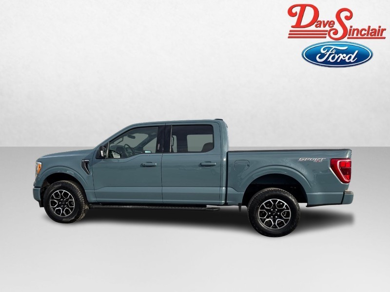Ford F-150 Vehicle Image 10