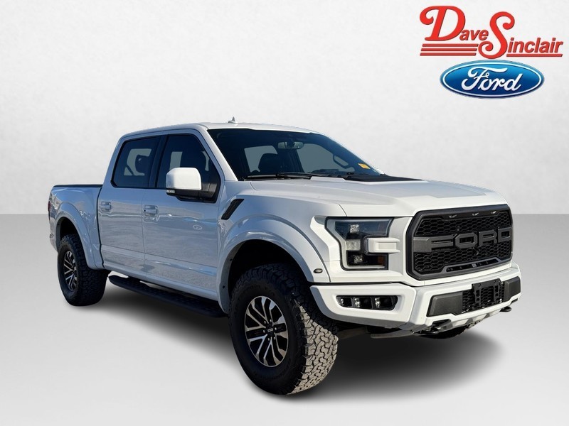 Ford F-150 Vehicle Image 04