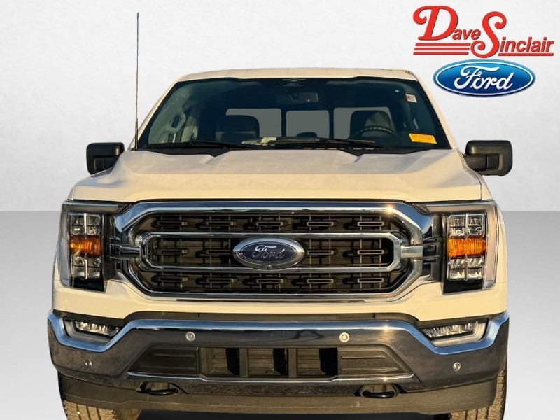 Ford F-150 Vehicle Image 02