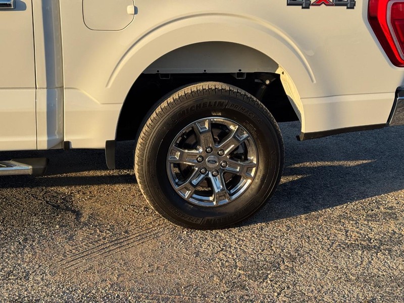 Ford F-150 Vehicle Image 11